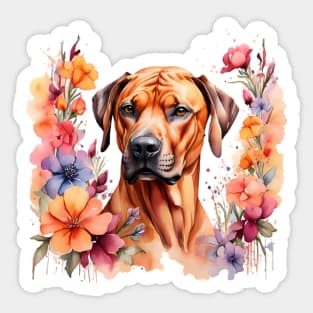 A rhodesian ridgeback decorated with beautiful watercolor flowers Sticker